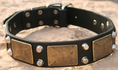 Perfect leather dog collar